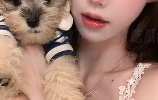 只需一键下载,51吃瓜让你永不迷路,瓜都能找到你!