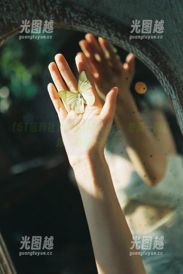51黑料社 51黑料社app:把瓜一网打尽,导航不迷路!