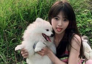吃瓜网58吃瓜:想吃就吃,直达那些你不想错过的热门瓜!