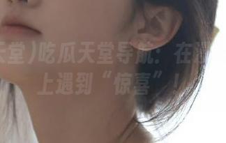 吃瓜天堂导航:在漫长的瓜路上遇到“惊喜”!