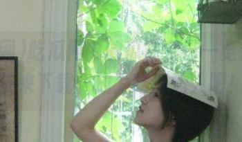 吃瓜网中的瓜在今日一览无余,快来下载,成为吃瓜达人吧!