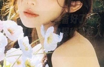 准备好了吗？登录黑料正能量不打烊，带你探秘那些入口背后的秘密！