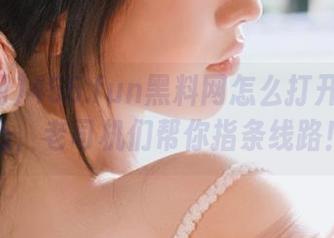 455.fun黑料网怎么打开？别担心，老司机们帮你指条线路！