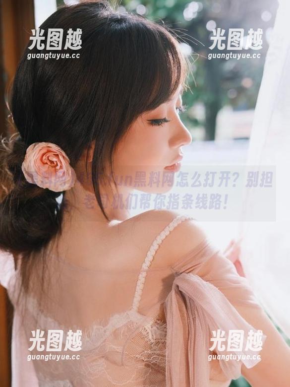 黑料网 455.fun黑料网怎么打开?别担心,老司机们帮你指条线路!